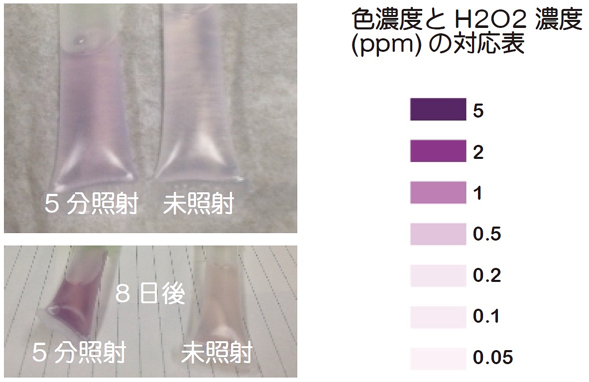 エルビウムヤグ(Er:YAG)ライトタッチレーザーによるプラズマ由来の活性酸素種